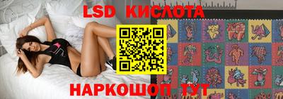 сатива Кандалакша