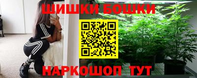 сатива Кандалакша