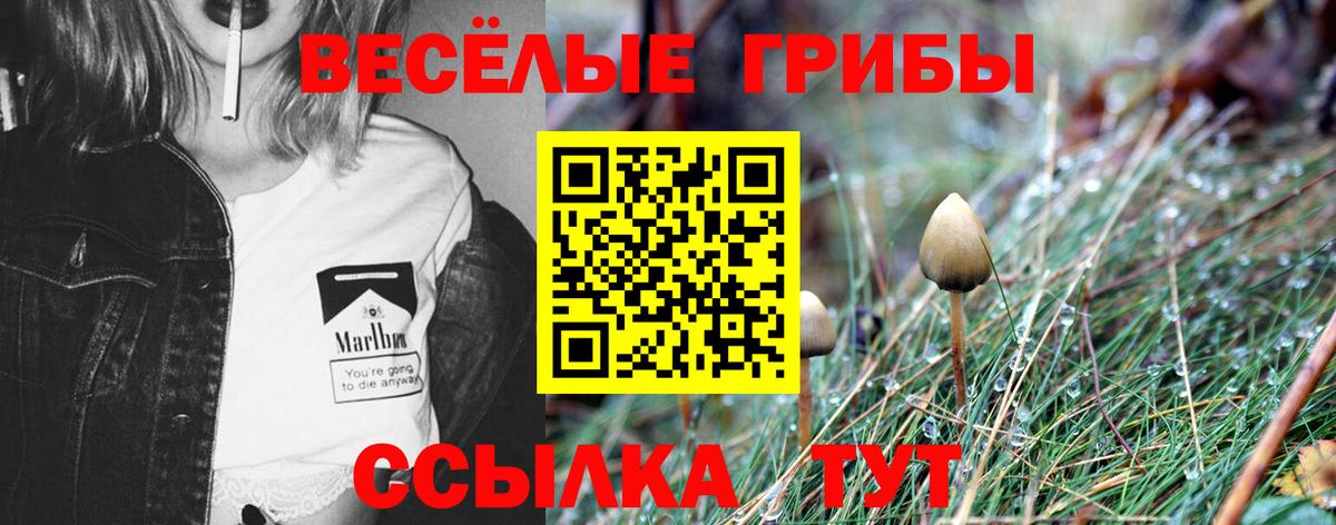 Галлюциногенные грибы Cubensis  Вход с VPN  Кушва  Псилоцибиновые грибы мицелий 